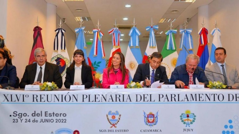 Subsidio del transporte, falta de gasoil y obras, entre los temas que unen al Norte Grande